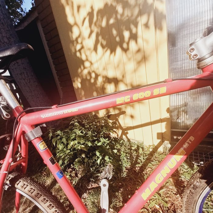 Rower męski "Magnum"