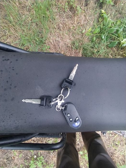 Шинерай интрудер 200