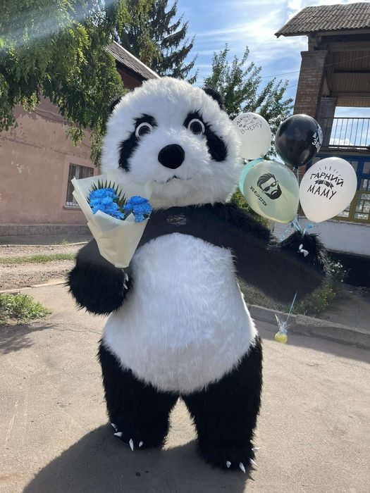 Панда Аніматор. Привітання