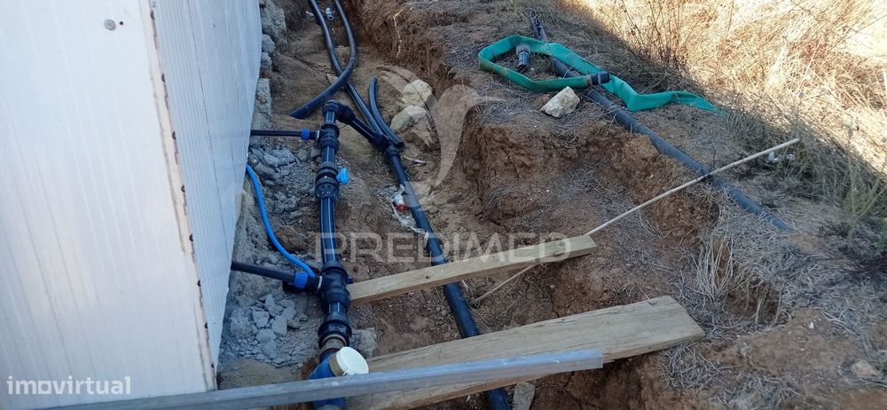 Olival Super Intensivo de 5,9ha à venda em Cano- Sousel