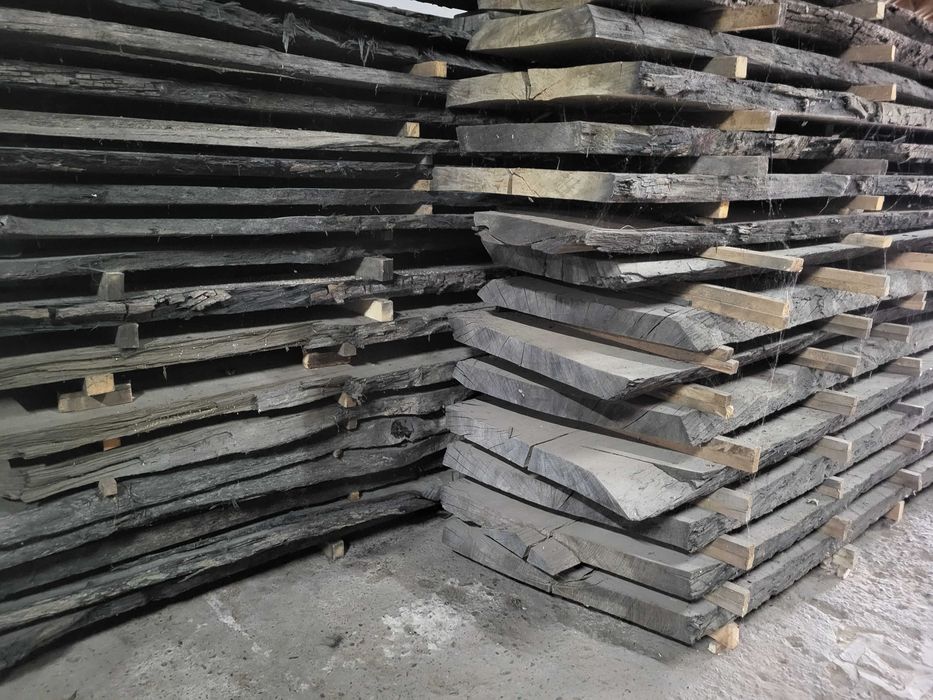 czarny dąb, brusy czarny dąb, dąb bagienny, black oak, dąb czarny