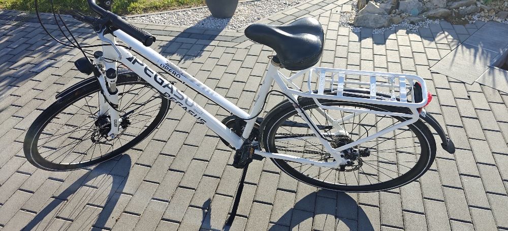 Rower Pegasus Opero