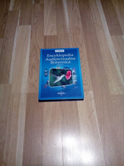 Encyklopedia audiowizualna