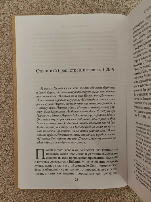 Пророк и блудница. Арсений Соколов