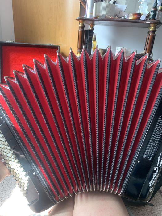 Acordeon Bugari Armando