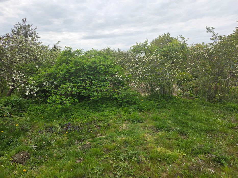 Działka ROD Odmiana 500 m² Słupsk
