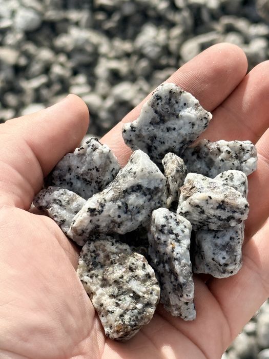 Grys Granit 16/22 Dalmatyńczyk „ sól-pieprz ” Kamień Ogrodowy