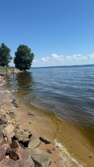 Продам прекрасну землю серед сосен біля Київського моря! 19соток затишку