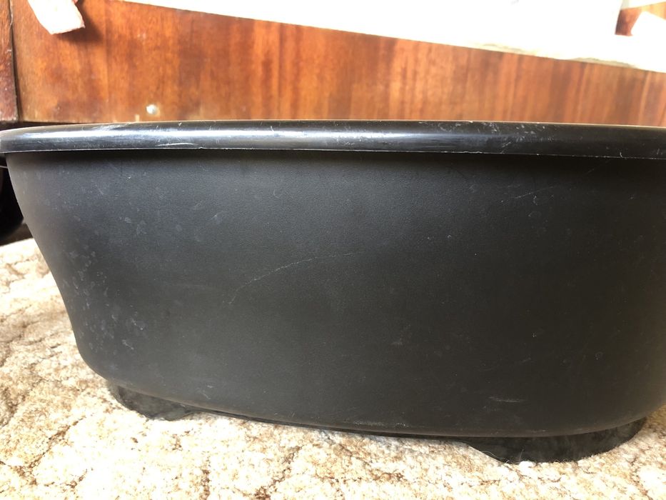 Место для собаки