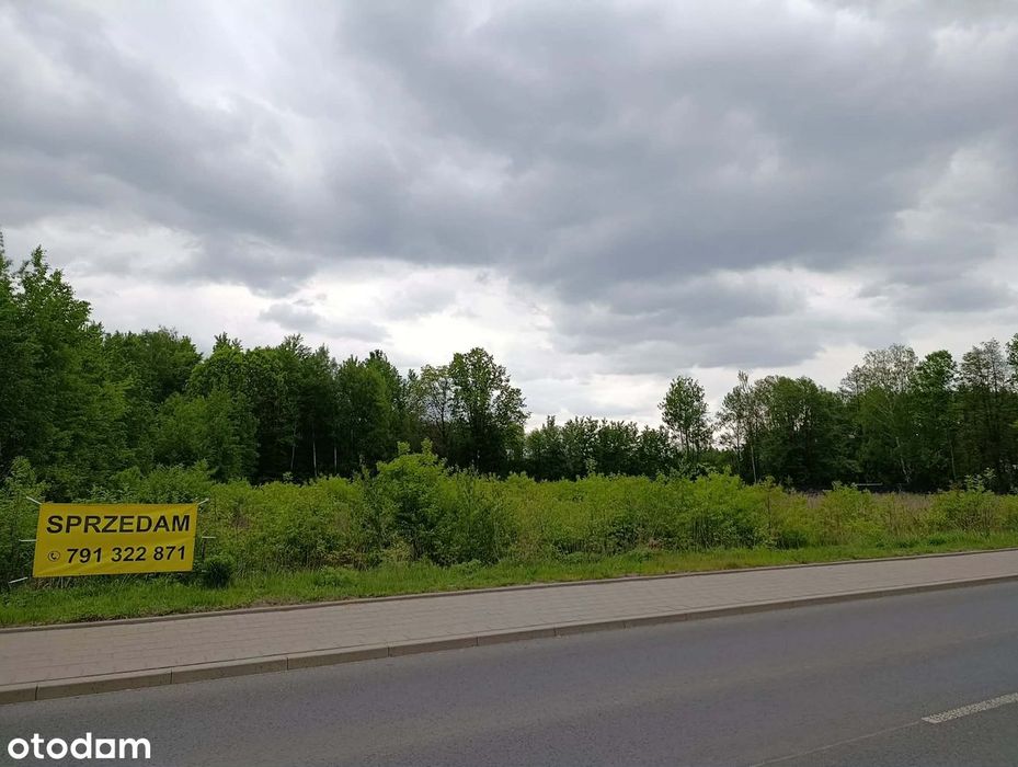 działka rekreacyjna Zbiornik Jeziorsko Skęczniew Osiedle 568 m² - Więcej