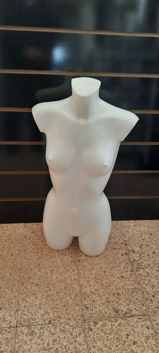 Bustos de Adulto (NOVOS)
