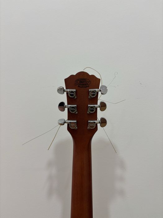 Guitarra Acústica Washburn WD10SNS
