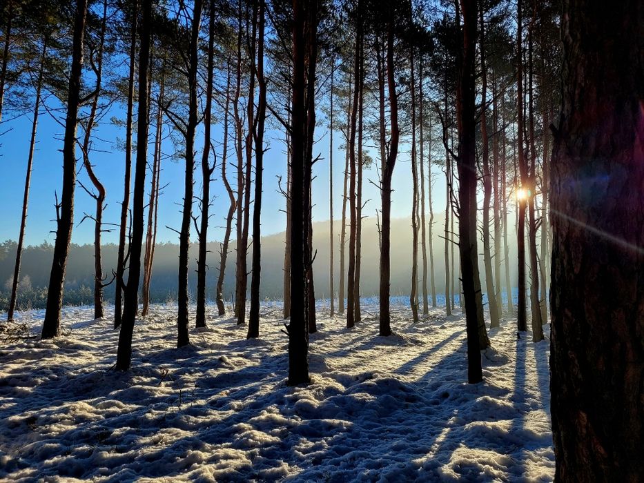 Noclegi z wyżywieniem ZACISZE