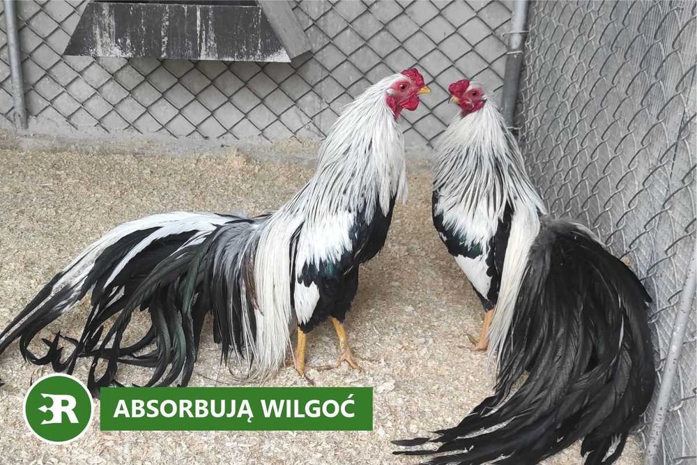 Trociny ProBioBED Plus - wsparcie dla zdrowia drobiu (250 l, 6,5kg)