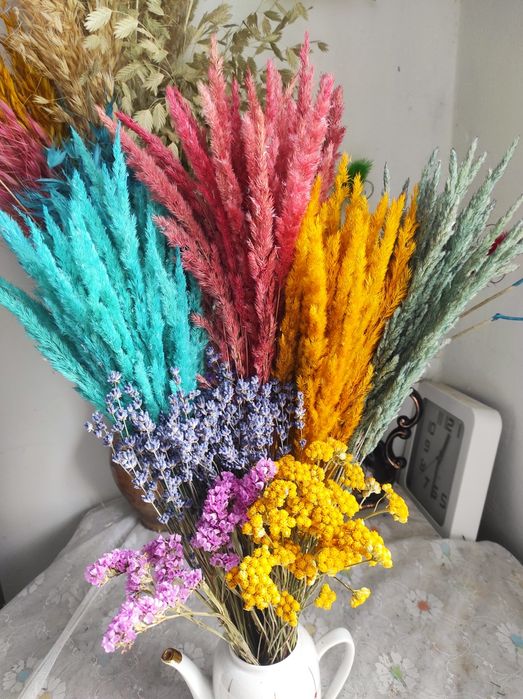 Сухоцвіти Сухоцветы   вейник    скабіоз  гіпсофіла