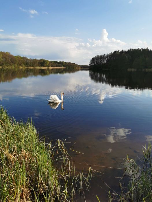 Wynajmę domek nad jeziorem z balią i kominkiem