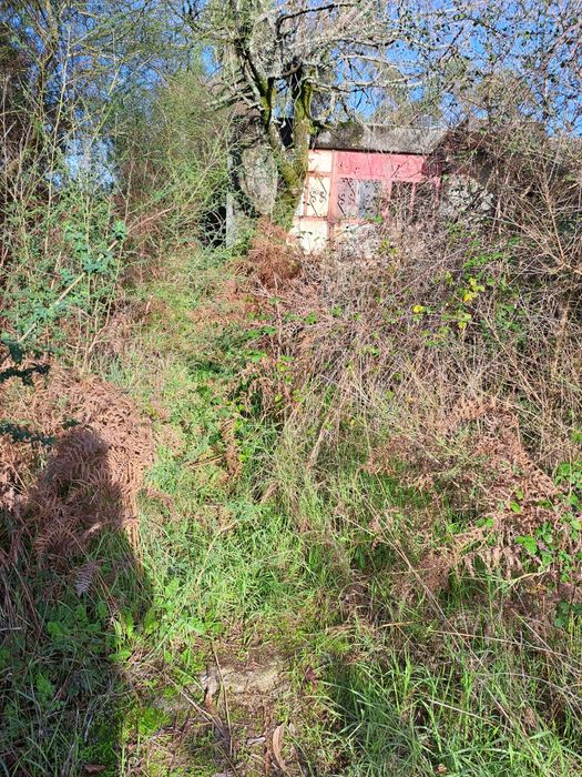 Vende-se terreno rústico inserido em zona de reserva florestal