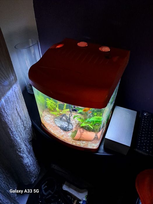 Aquario completo a trabalhar