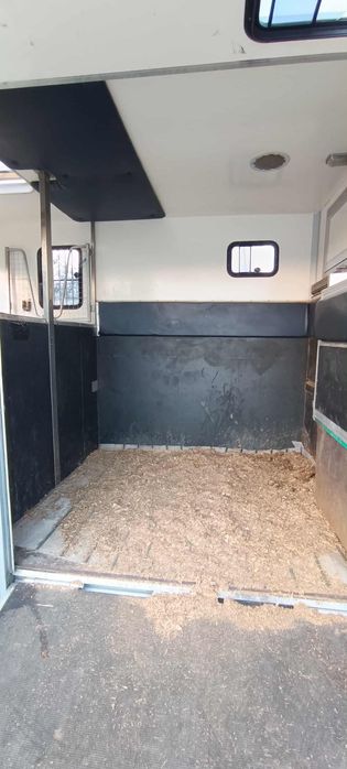 Carrinha transporte cavalos