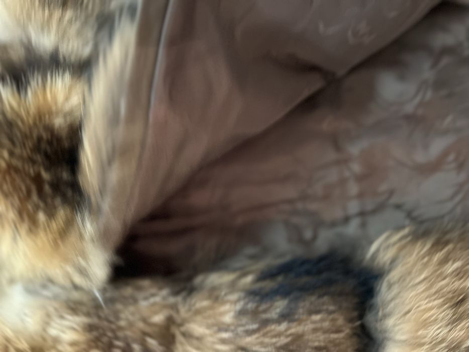 Casaco Pelo Raposa Real (verdadeiro- Pêlo Genuino) M