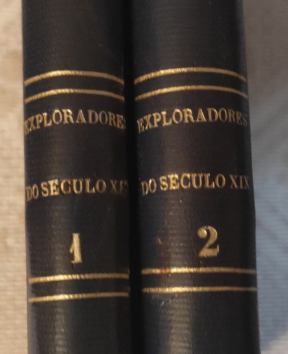 Júlio Verne - Os exploradores do século XIX (1882)