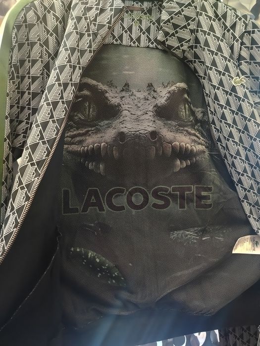 Dres Lacoste monogram  niebieski