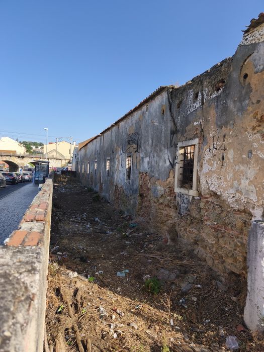 Limpeza de terrenos