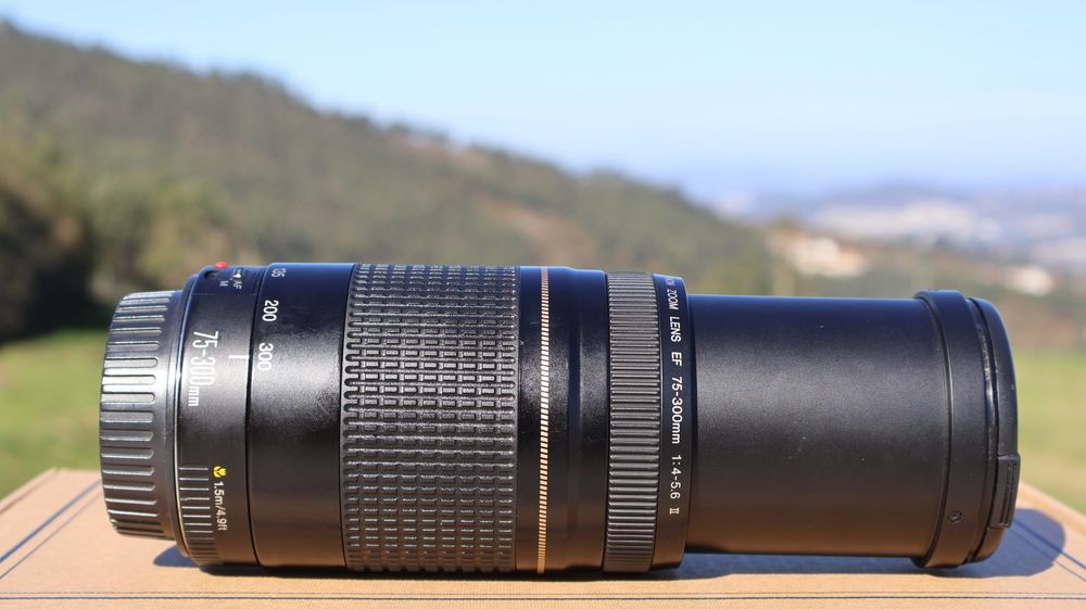 Canon EF 75-300mm F/4-5.6 II UltraSonic