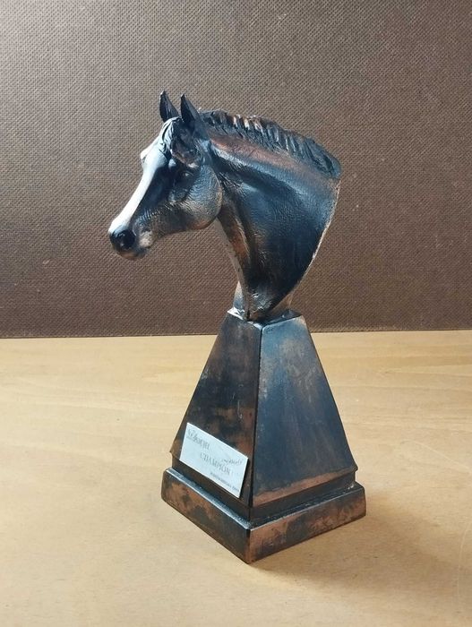 Troféu Hipsimo / Equitação / Cavalo