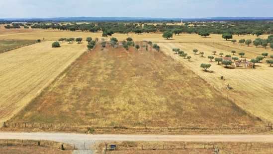 Quinta 12500m2 Alvalade