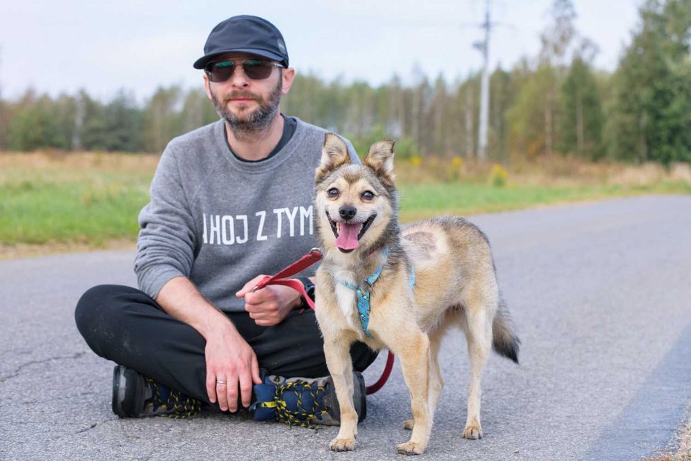 Sajlek - radosny promyczek