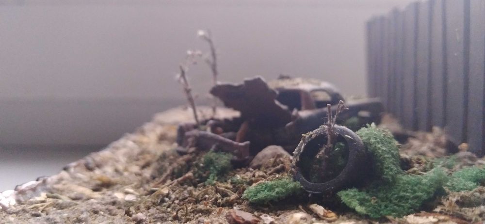 Діорама своїми руками