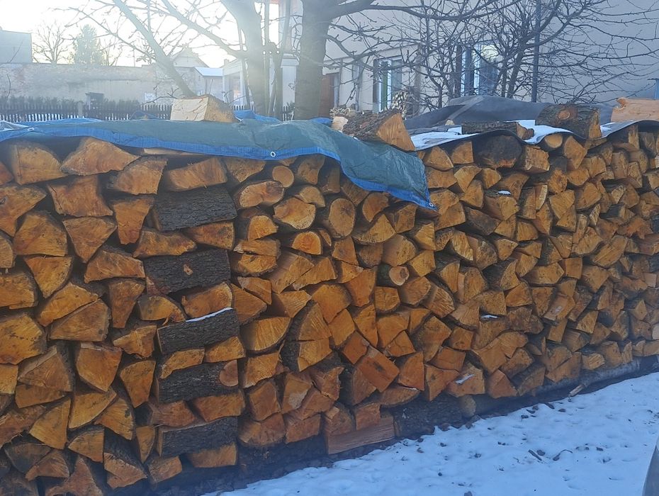 Drzewo kominkowe Olcha