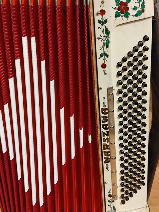 Harmonia trzyrzędowa 120 basów