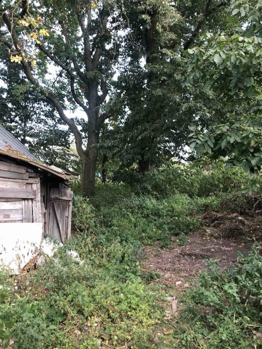 Продаж земельної ділянки Гориньград 1