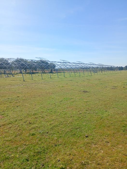 Estufas agrícolas metálicas