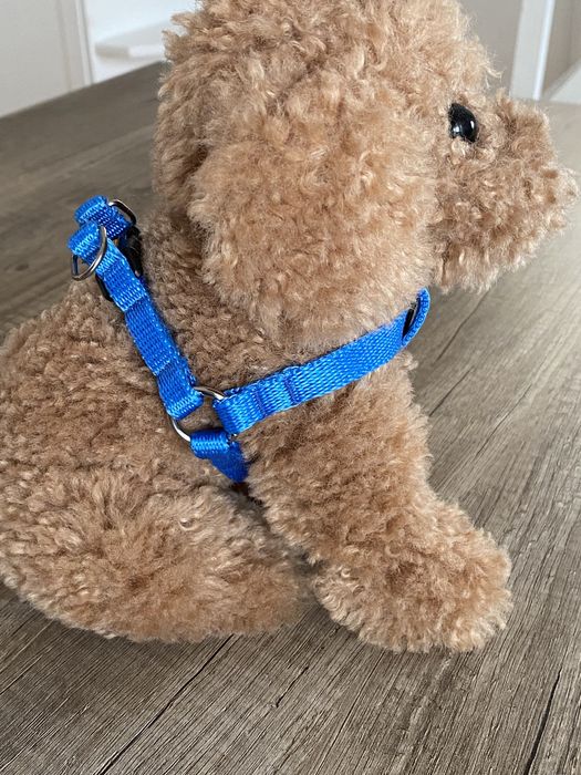 Szelki niebieskie dingo XS jak nowe