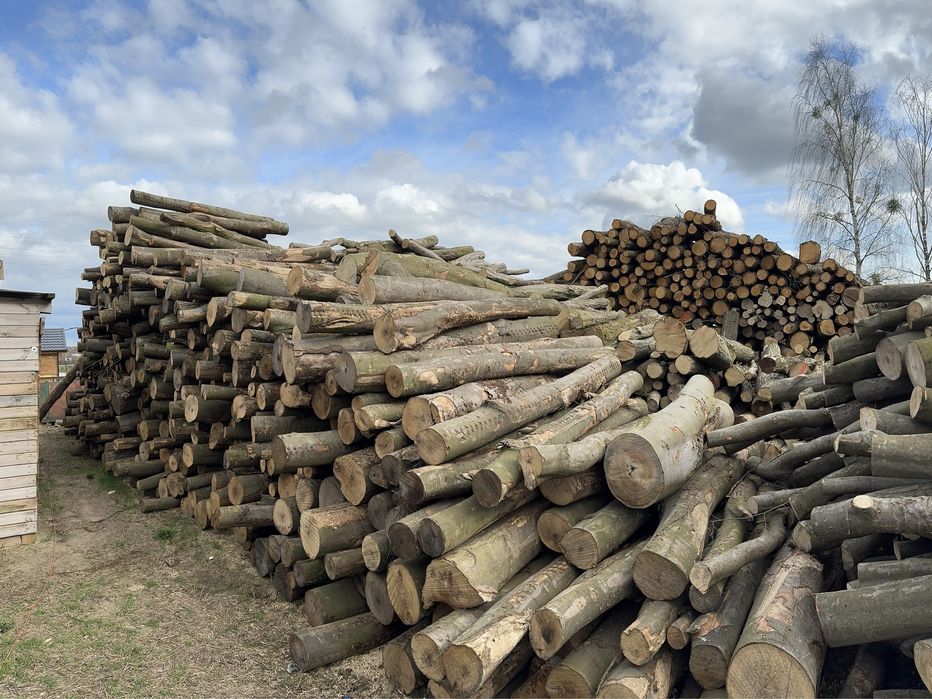 Grab buk dąb akacja / drewno opałowe kominkowe