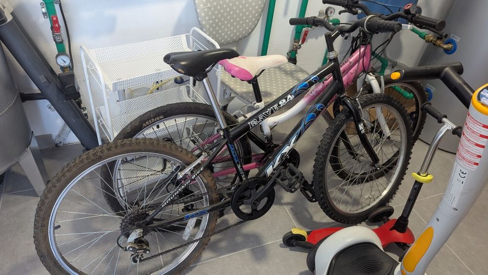 3 bicicletas 1 trotinetes 1 segway