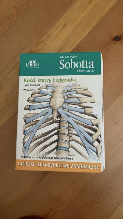 Zestaw fiszek Sobotta