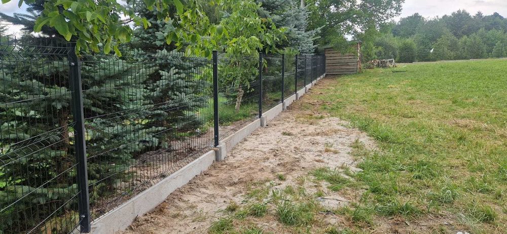 Panel ogrodzeniowy 2500x1230mm ral 9005 czarny siatka przęsło panelowe