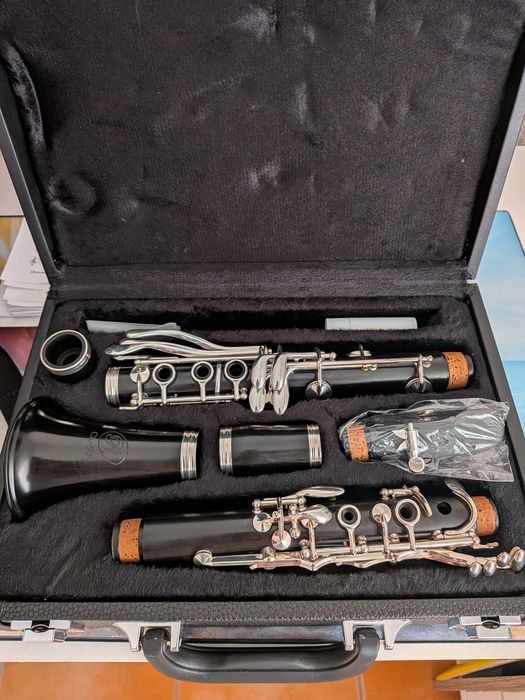 Bb Clarinet Rosadele486860869841070080