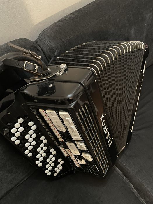 Acordeão Elkavox 83 com Mala e pedais