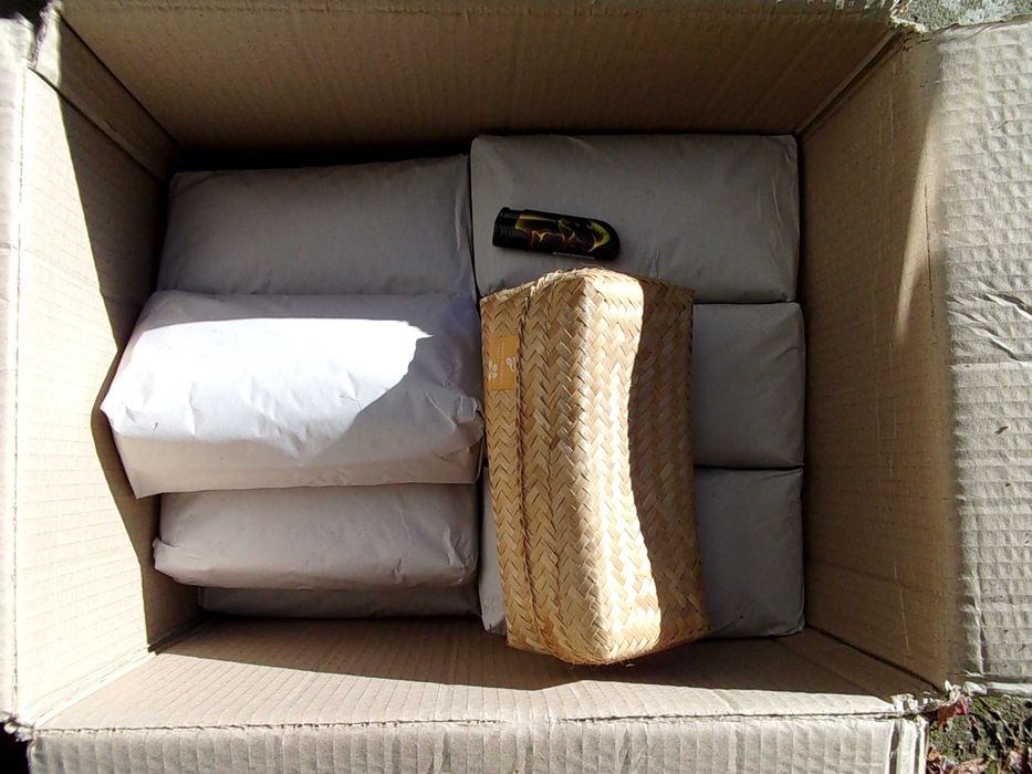 Masażer do twarzy i depilacji