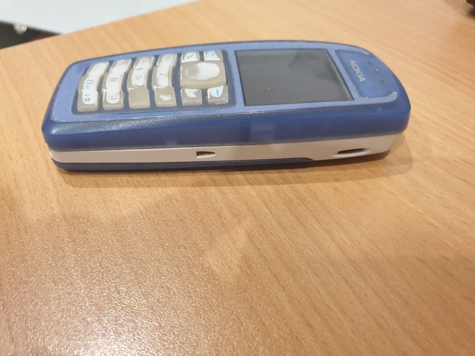 Nokia 3100