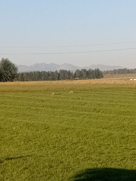 Dom – Ostrowsko - Więcej