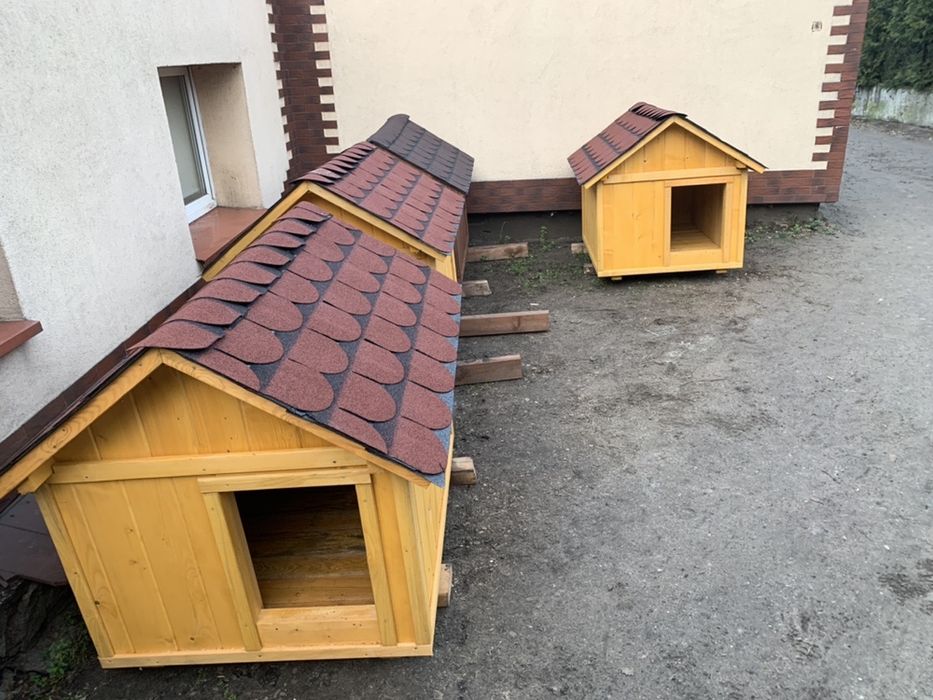 Średnia buda dla psa