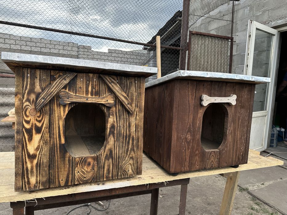 Собачі будки