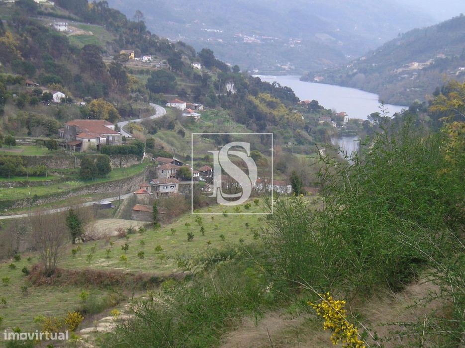 Terreno  Venda em Penhalonga e Paços de Gaiolo,Marco de Canaveses