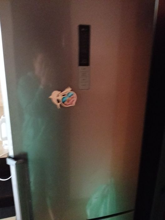 Квартира 1кім, Мила